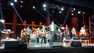 THE ORIGINAL BLUES BROTHERS - WHO&#39;S MAKING LOVE - LIVE TENERIFE 2016