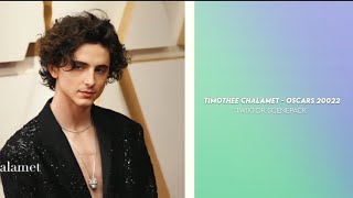 Timothée Chalamet - Oscars 2022 twixtor scenepack (with mega link) 1080p