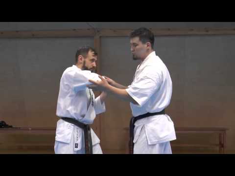 Darmen Sadvokasov  - the principle of fighting in karate kyokushinkai