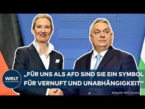 BUDAPEST: Ungarn "Bollwerk gegen illegale Migration"! Weidel sieht Orban als Vorbild für die AfD