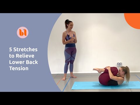 5 Stretches to Relieve Lower Back Tension  |  Ballet Fusion Ltd