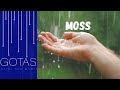 MOSS - Before It's Gone