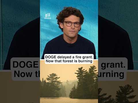 DOGE DELAYED a fire grant. Now that forest is BURNING.