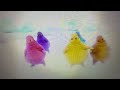 The Boohbahs Get Up And Gallop To The Barney Seeing Hearing End Credits