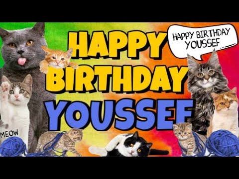 Happy Birthday Youssef! Crazy Cats Say Happy Birthday Youssef (Very Funny)