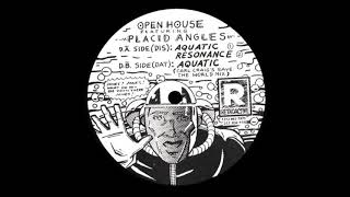 Open House Featuring Placid Angles - Aquatic