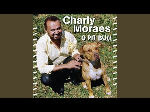 O Pit Bull - Charly Moraes