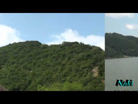 Petar Ljeparević -  Kolo na fruli