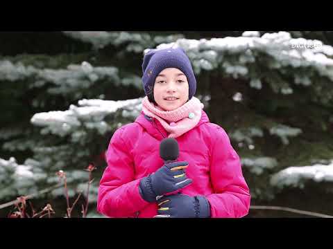 Recomandări de iarnă la munte - Tania Bondoc