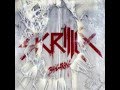 Skrillex- The Devil's Den