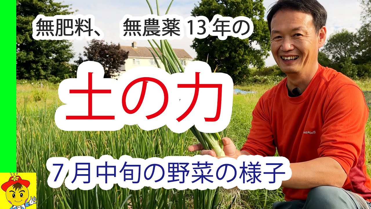 無肥料で育つ畑の秘密と連作の力