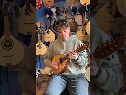 Prudencio Sáez Mandolin - model M.S. image 4
