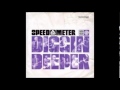 Speedometer - Two Beat Beast