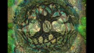 Afro Celt Sound System- Go On Through (AUDIO)