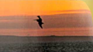 With you I'm born again - Billy Preston and Syreeta