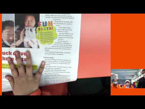 Adopting Cats - Newspaper Article with Ruie and Ummul