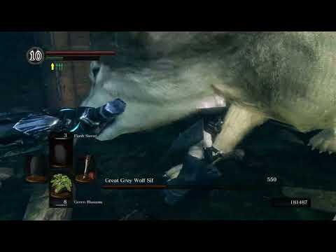 Dark Souls - Great Grey Wolf Sif [No Hit] SL1/No Roll/Block/Parry