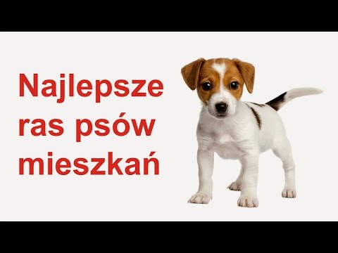 Leczenie wypadanie włosów dla kobiet St Petersburg Maska do włosów będzie jedwabiście