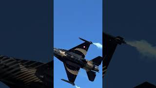 Caça demonstrado poder