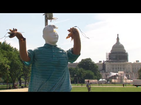 Dummies demonstrate firework dangers