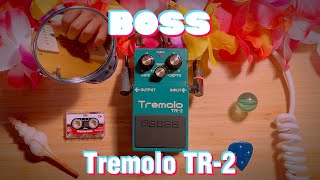 Video thumbnail for 💚Deep Green Tremolo | Boss TR-2 | Tremolo by Future Analog | 몬구 우주