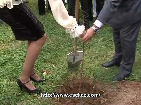 Eva Rivas in Greece - news report