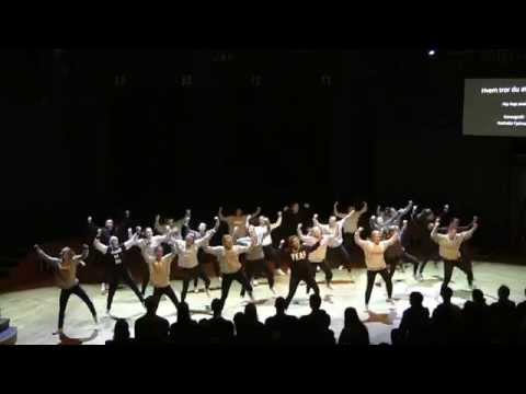 Show Samfundet NTNUI Dans våren 2014 - Hvem tror du at du er?!