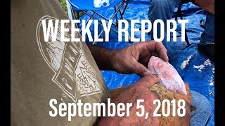 WEEKLY REPORT - September 5, 2018