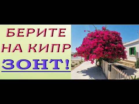 КИПР:берите в поездку ЗОНТ!Набережная Пафоса,Дерево желаний,катакомбы св.Соломонии,июль 2021.