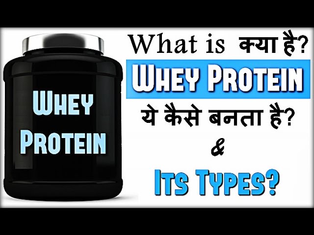 What Is Whey Protein Types Of Whey Protein How Is Whey Protein Made In Hindi India Vtomb