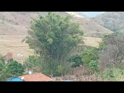 Glucinio Distrito de Santa Maria do Suaçuí Mg 