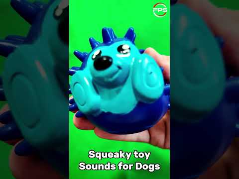 Squeaky toy Sounds for Dogs #soundsdogslove  #funny #dogsound
