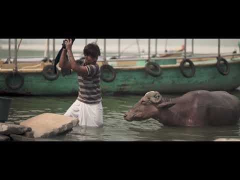 Vireshwar Das an ode to day about today. -to remark and contemplate