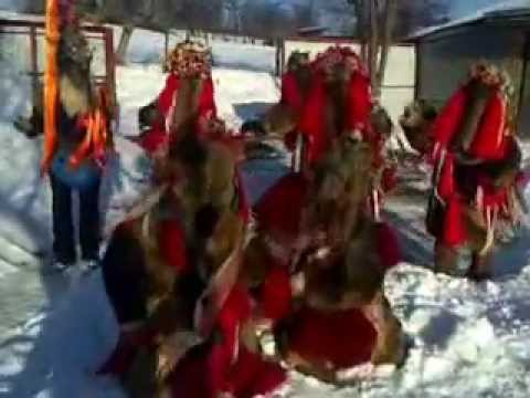 Ursii de la Supitca 2013