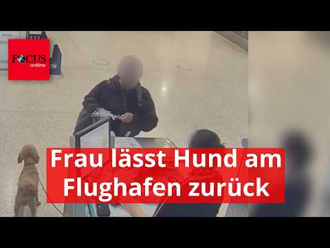 Frau lässt Hund am Flughafen zurück - und wird verhaftet