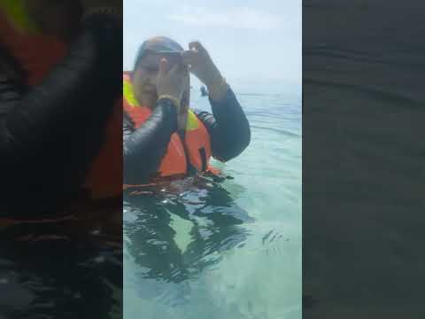 Keindahan Pulau Payar 🏝️ 051019