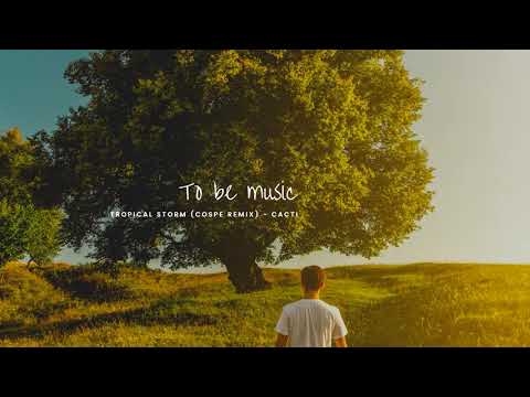 Tropical Storm (Cospe Remix) - Cacti (Extended Mix)