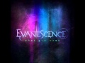 Evanescence- "What you want" [NEW SINGLE 2011 ...