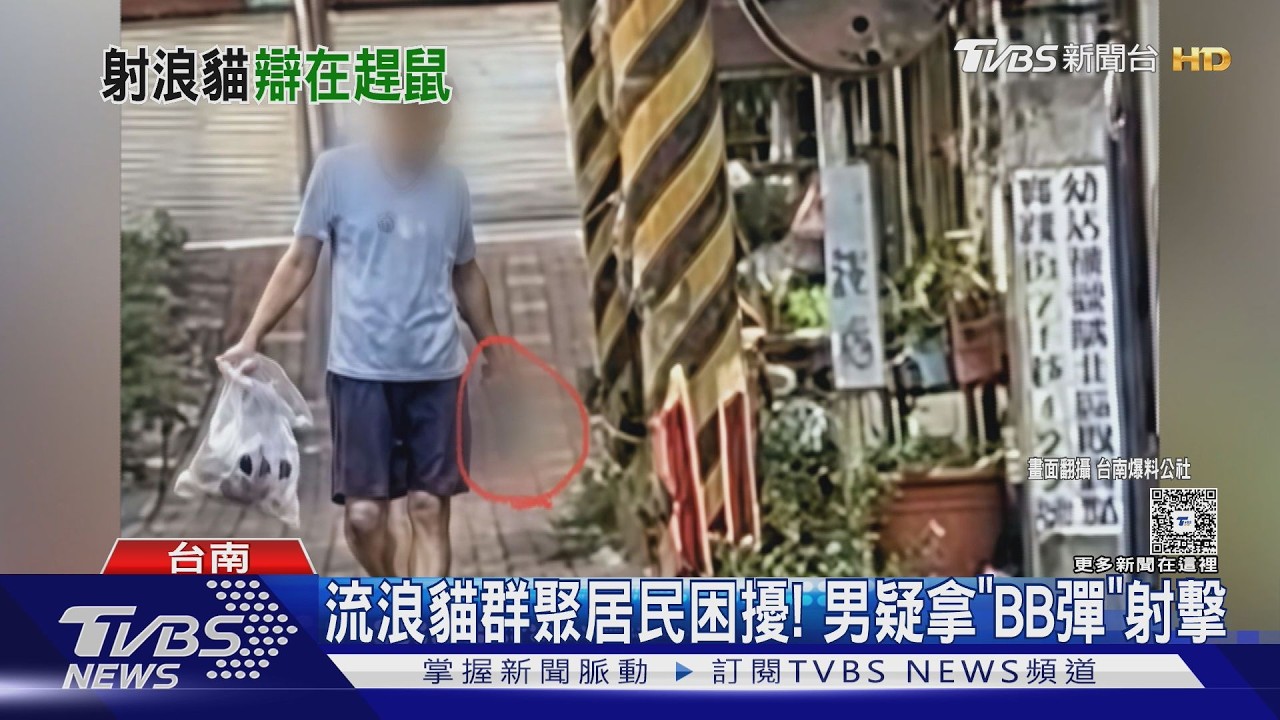 影音／疑拿BB槍射流浪貓！　男喊「沒虐動物」居民PO影片打臉