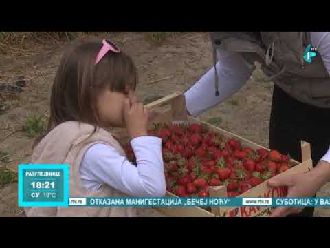 Sezona jagoda odlična usled slabih padavina