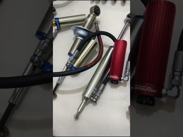 مساعدات بطل الدروب باترول 2010-2024