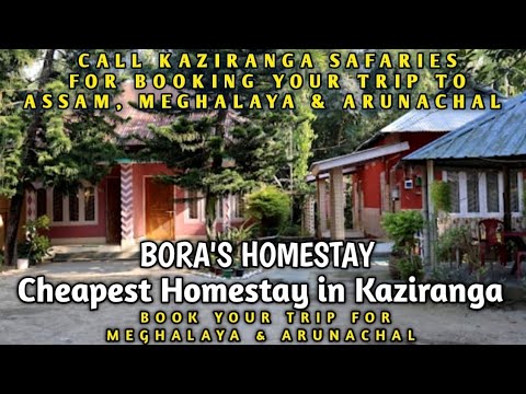 Cheapest Homestay in Kaziranga National Park | BOOK YOUR TRIP IN ADVANCE | #Northeast Vloggers