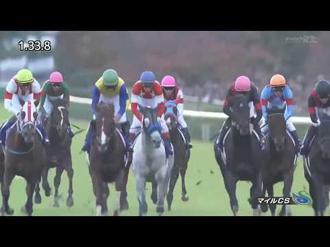 Persian Knight (JPN) ペルシアンナイト 2017 THE 34TH MILE CHAMPIONSHIP (G1) M. Demuro 3-year-old & up, 1600m
