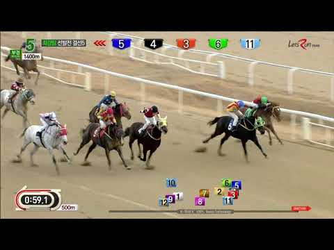 Mupae - Busan Racecourse - December 16, 2018