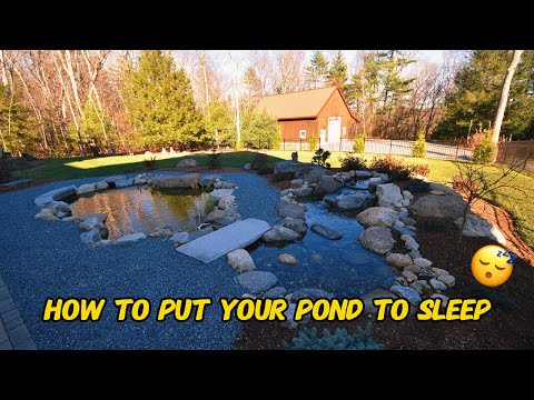 Will your Pond make it through the Winter?