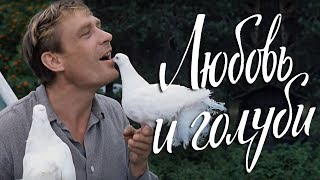 Смотреть онлайн Художественный фильм «Любовь и голуби», 1984