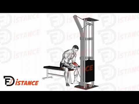 Curls avant-bras à la poulie supination - Exercice Curls avant-bras à la poulie supination en vidéo