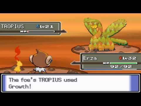 Pokemon Platinum Part 26: Finishing Route 214 and Lost Key Finding