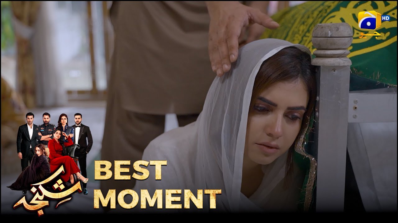 Shikanja Episode 11| 𝐁𝐞𝐬𝐭 𝐌𝐨𝐦𝐞𝐧𝐭 𝟎𝟒 |  Azekah Daniel - Asad Siddiqui - Furqan Quresh | Har Pal Geo