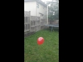 Balloon Pop